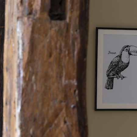 Le Toucan By Cocoonr Rennes Esterno foto