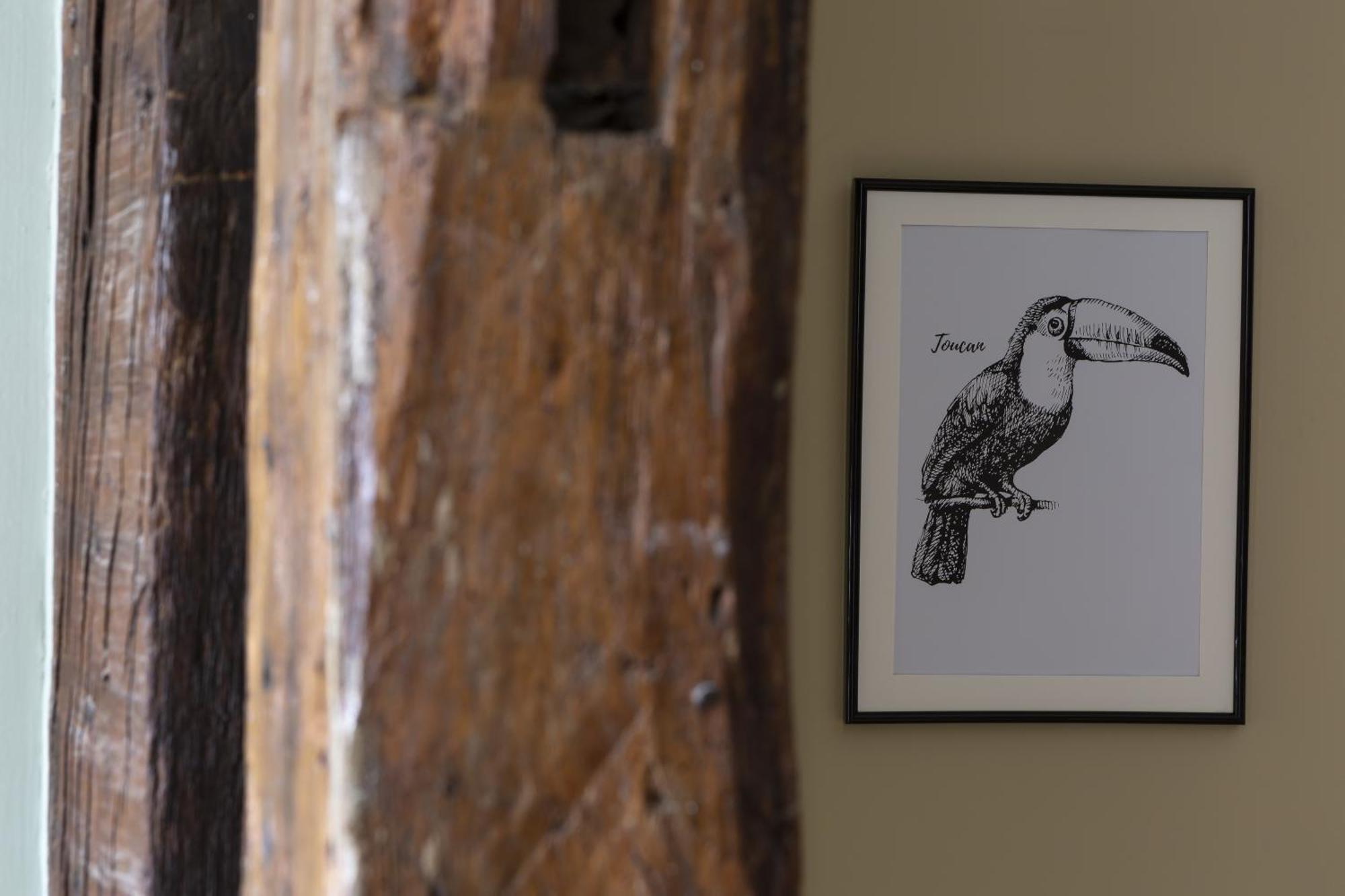 Le Toucan By Cocoonr Rennes Esterno foto
